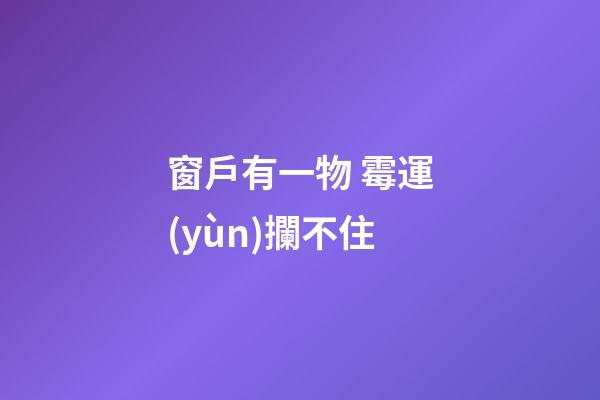 窗戶有一物 霉運(yùn)攔不住